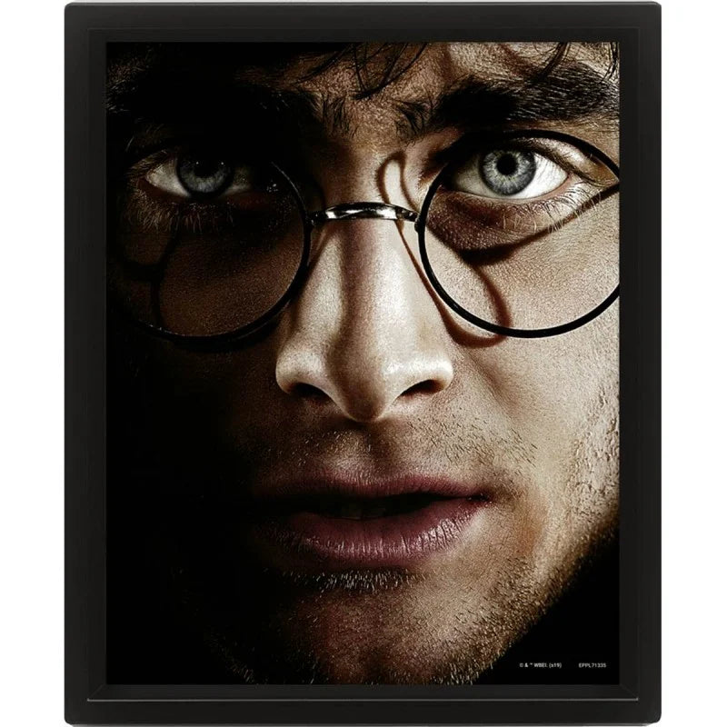 HARRY POTTER – Harry gegen Voldemort – 3D-Lentikularposter 26 x 20 cm