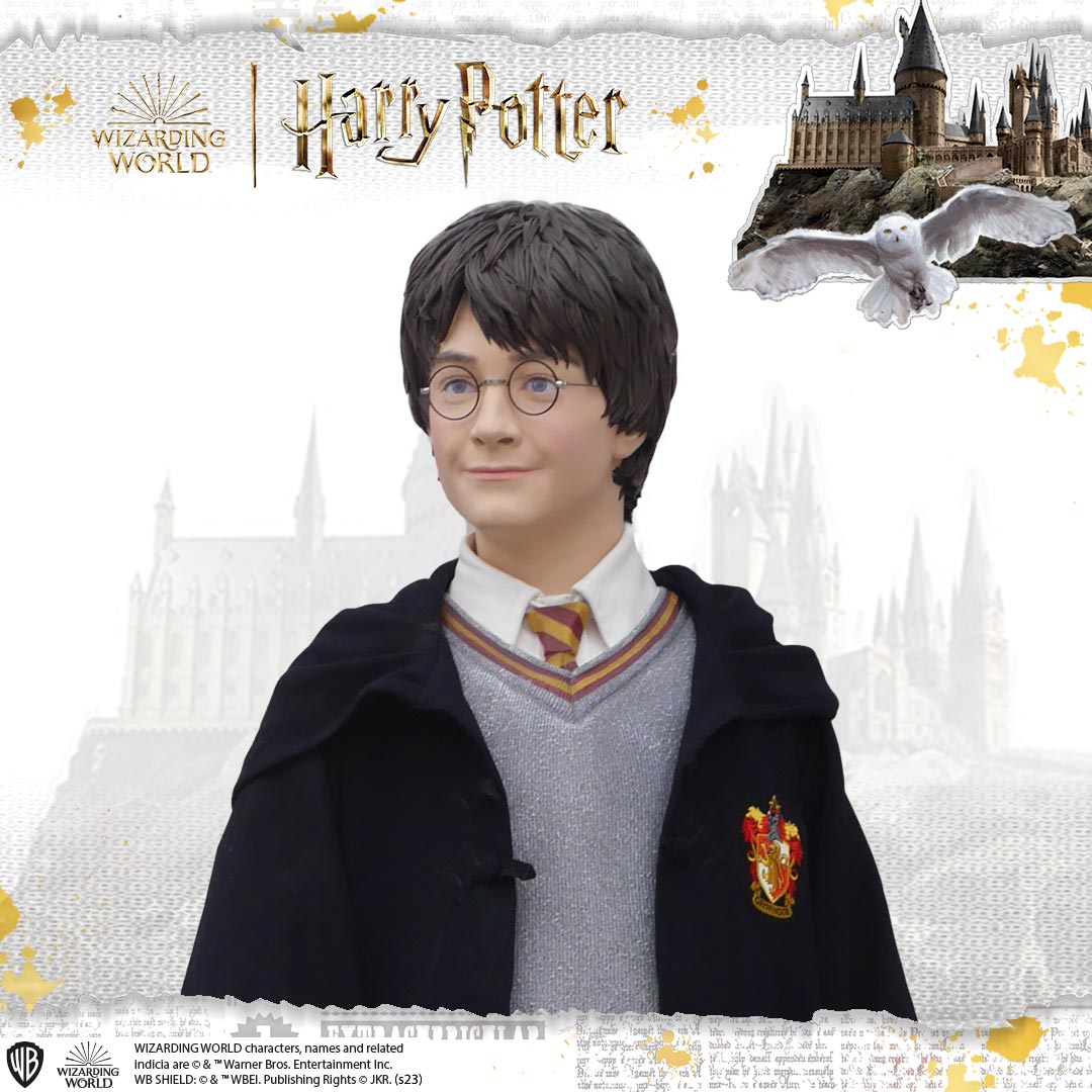 HARRY POTTER