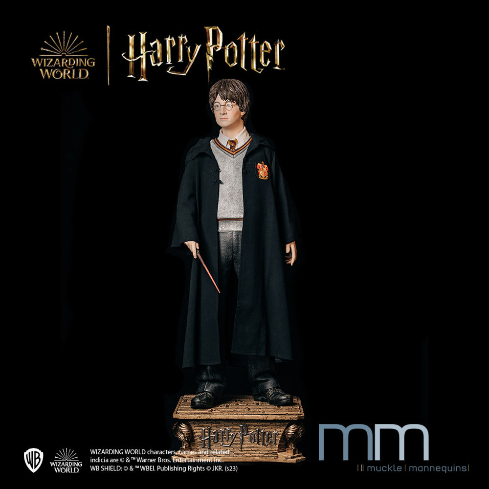 HARRY POTTER