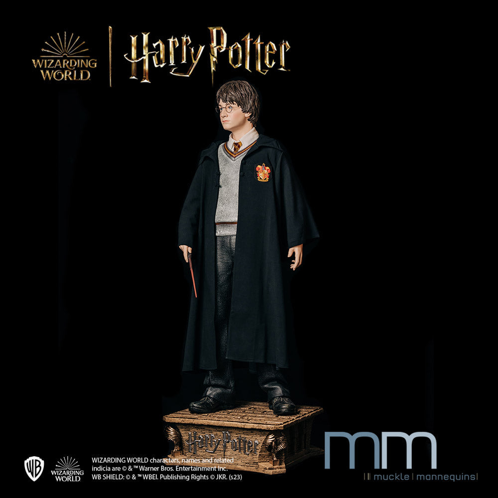 HARRY POTTER