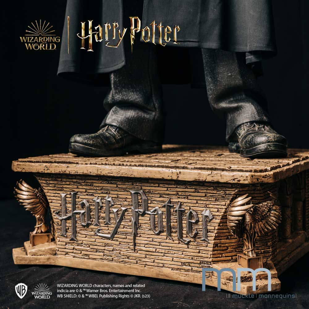 HARRY POTTER