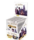 Harry Potter Metall Minikarten Display (25)