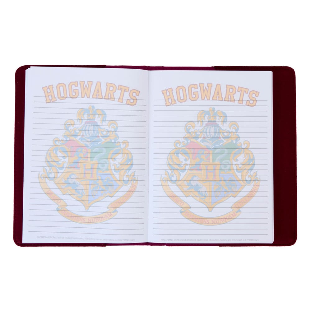 Harry Potter by Loungefly Notizbuch