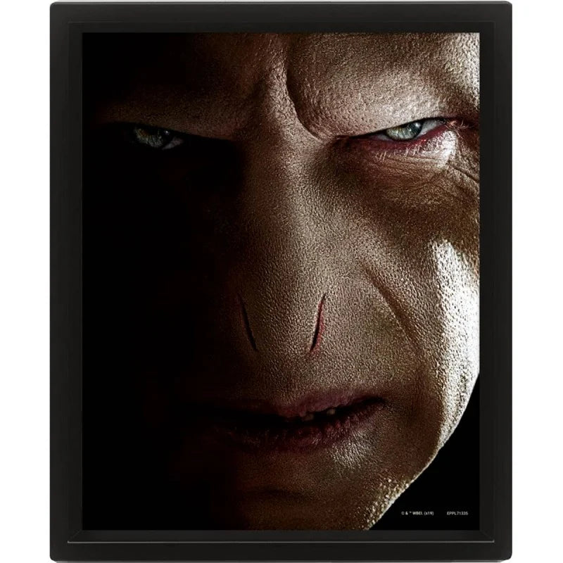 HARRY POTTER – Harry gegen Voldemort – 3D-Lentikularposter 26 x 20 cm
