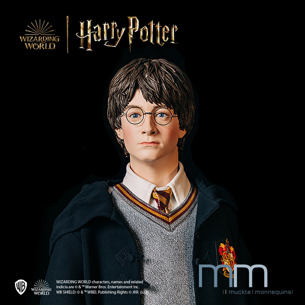 HARRY POTTER