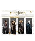 Harry Potter Magnetische Lesezeichen Set C